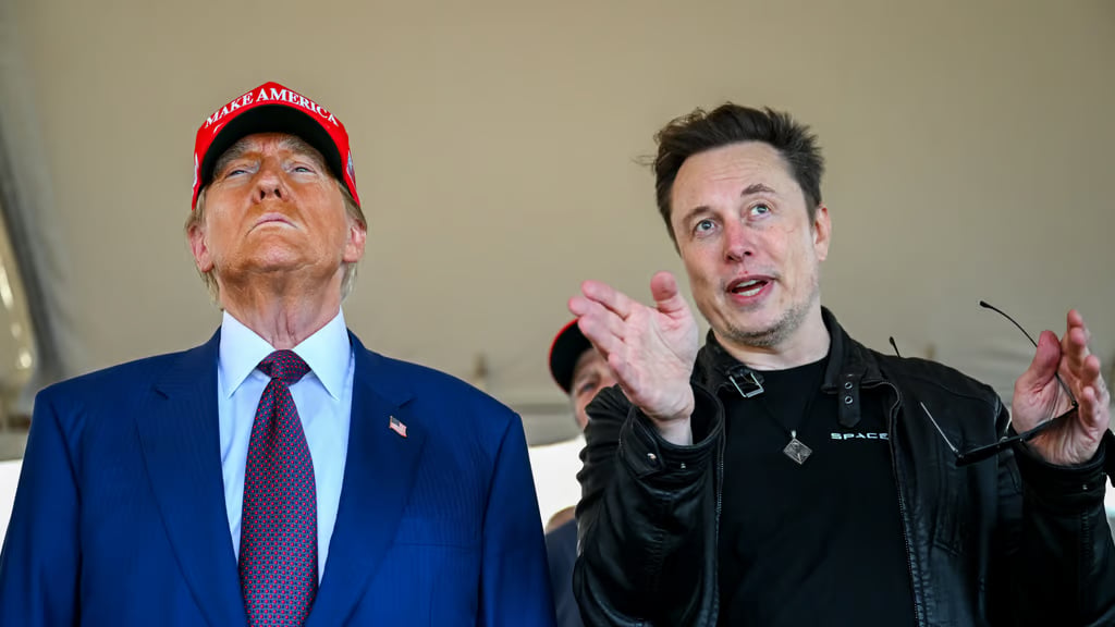 Elon Musk as president ‘not happening’