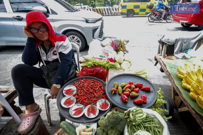 More sili seen as key to taming price spikes — DA