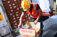 A personnel of Bureau of Customs inspects the frozen mackerel earlier seized, which was formally turned over to the Department of Agriculture last 14 December during the President Ferdinand Marcos Jr.'s inspection at the Manila International Container Port.