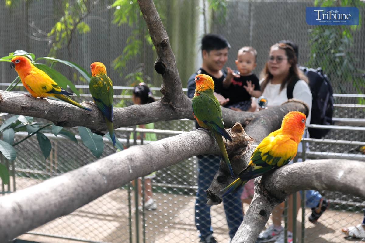 Explore the Philippines' First-Ever Biodome at | Daily Tribune