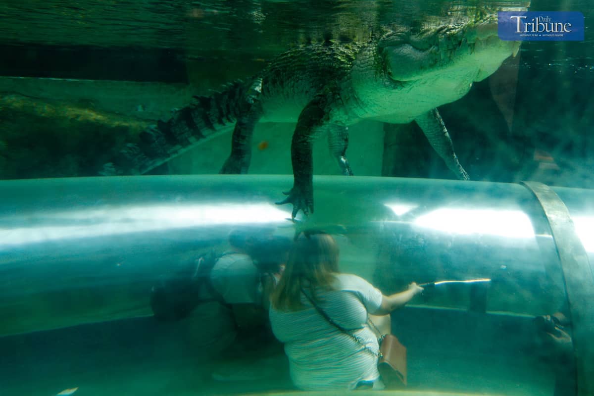 Explore the Philippines' First-Ever Biodome at | Daily Tribune