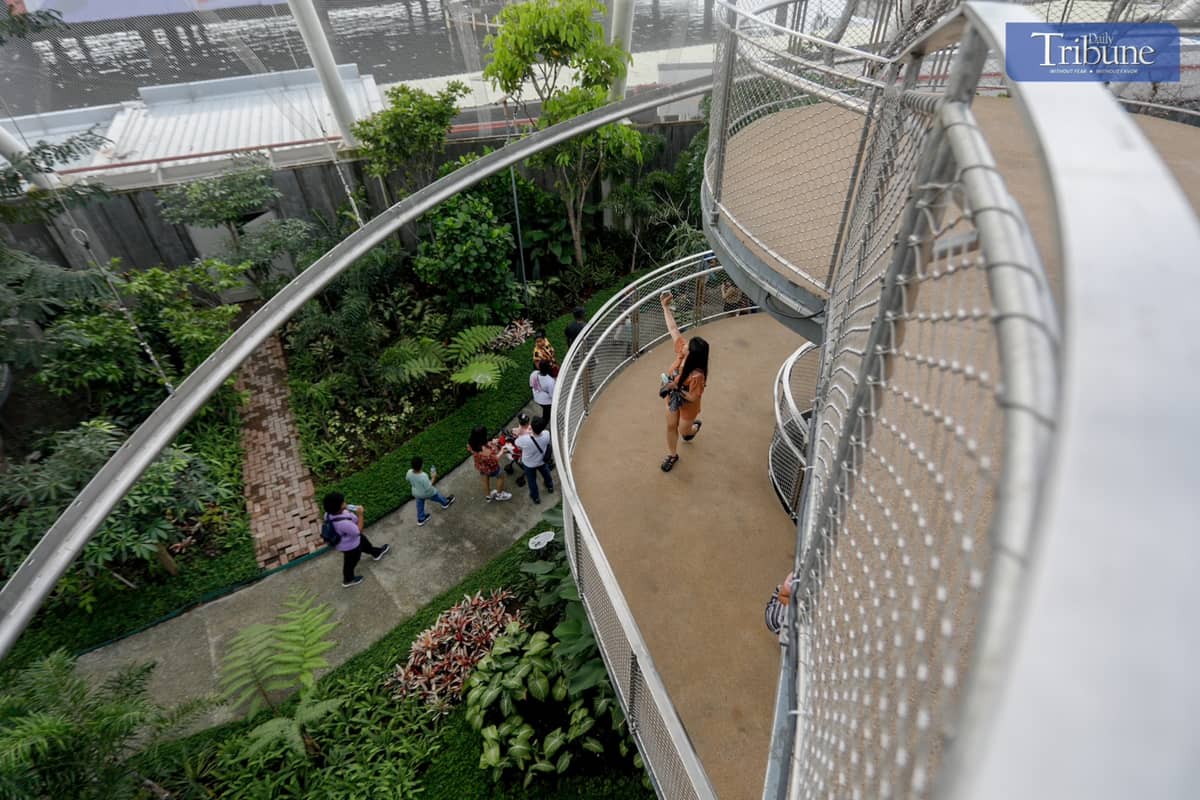 Explore the Philippines' First-Ever Biodome at | Daily Tribune