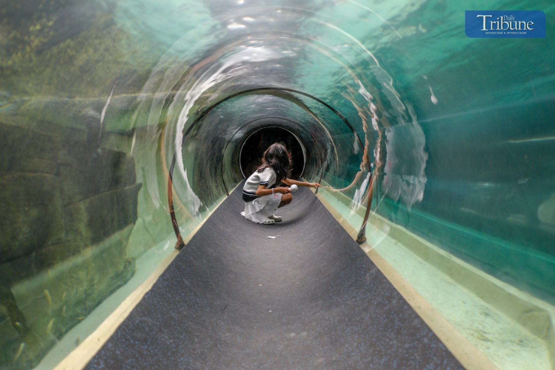 Philippines' first-ever Biodome at Manila Ocean Park