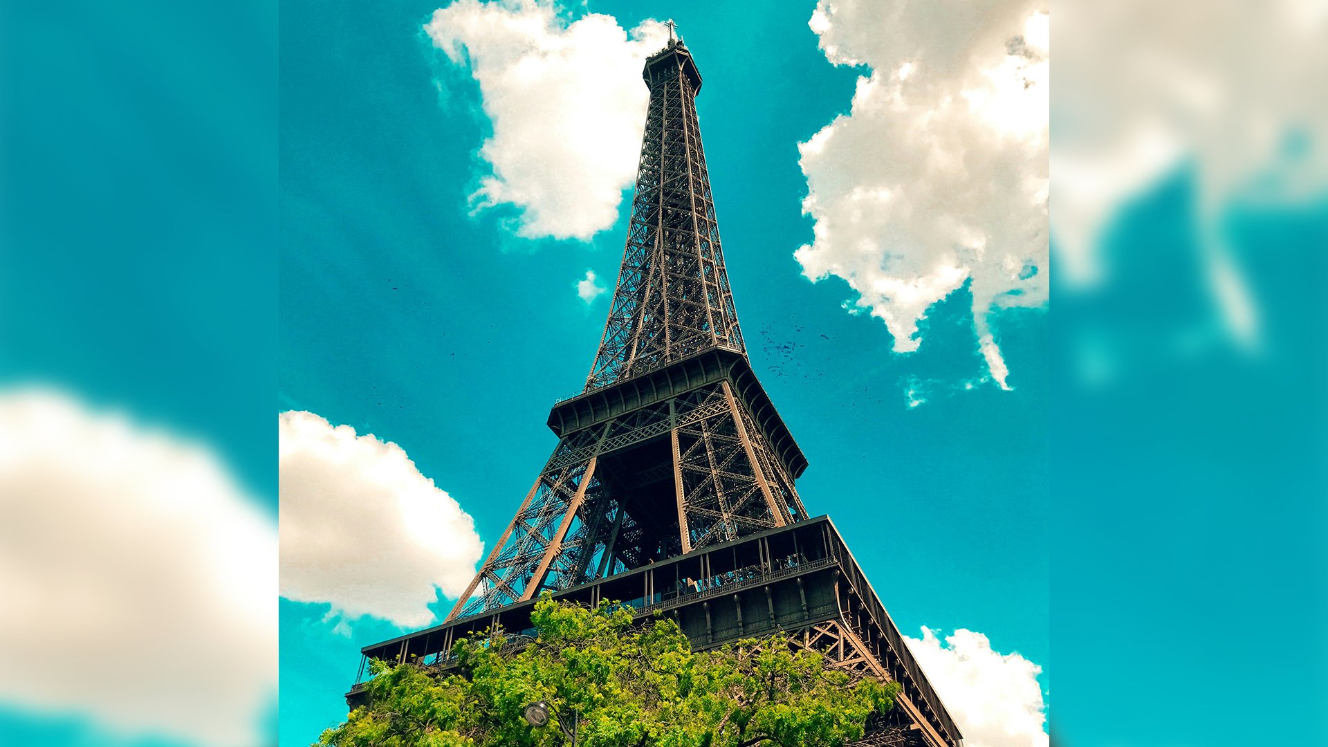 Bucket list goals: The year in travel