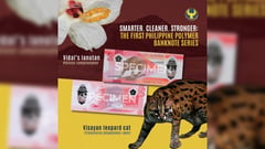 BSP bares Filipinos embracing polymers
