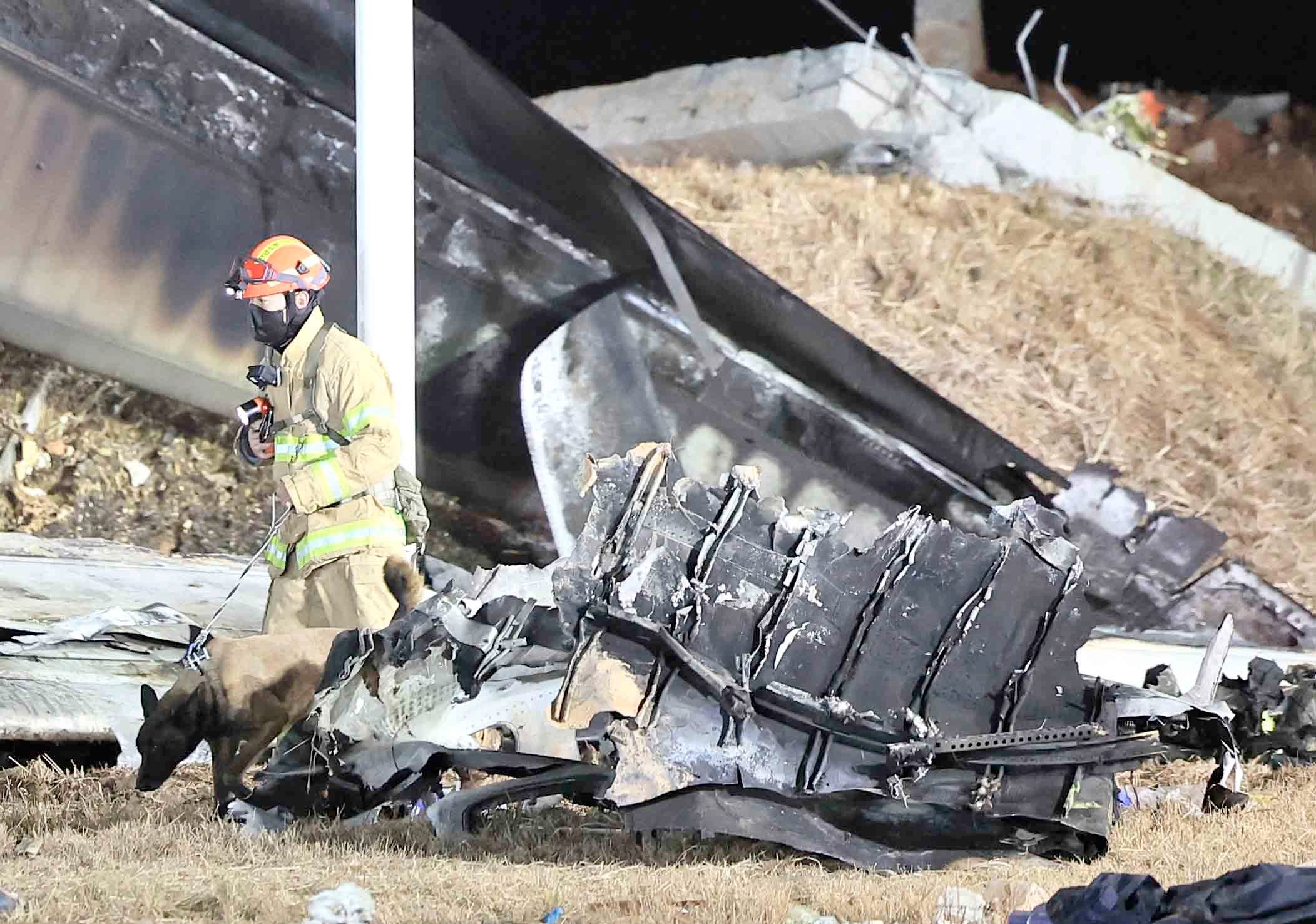 Flags fly at half-mast as SoKor probes plane crash