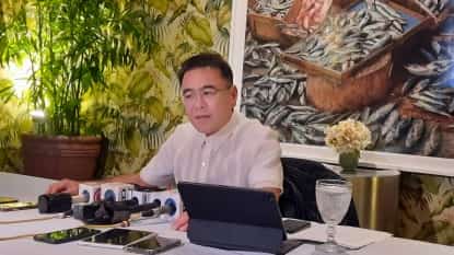 Maharlika Investment Corporation president and chief executive officer Rafael Jose Consing Jr.
