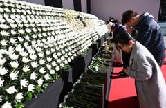 S. Korea investigates barrier hit in Jeju Air crash
