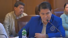 Solon eyes Solo Parent law amendments