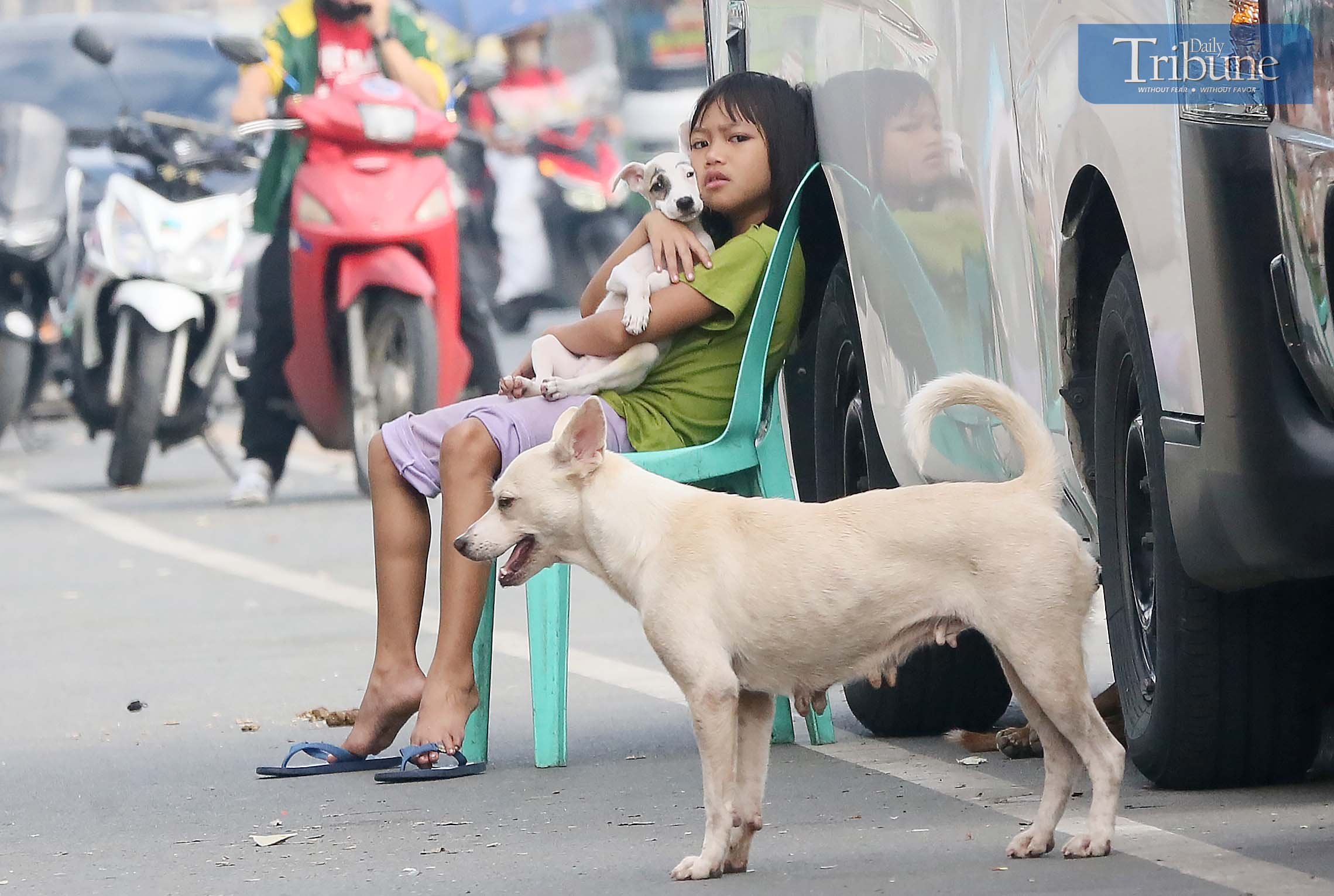 A girl and her pup 