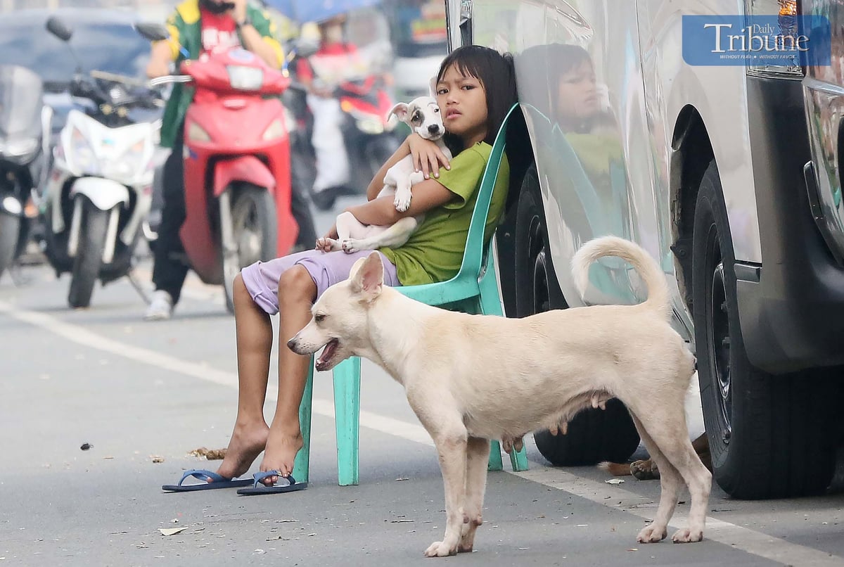 A girl and her pup