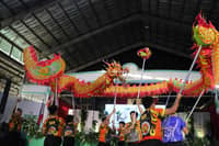 Remembering Bohol