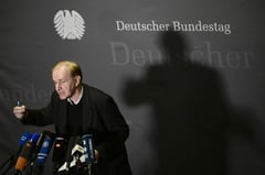 EU rules don't prohibit Musk's German far-right chat on X
