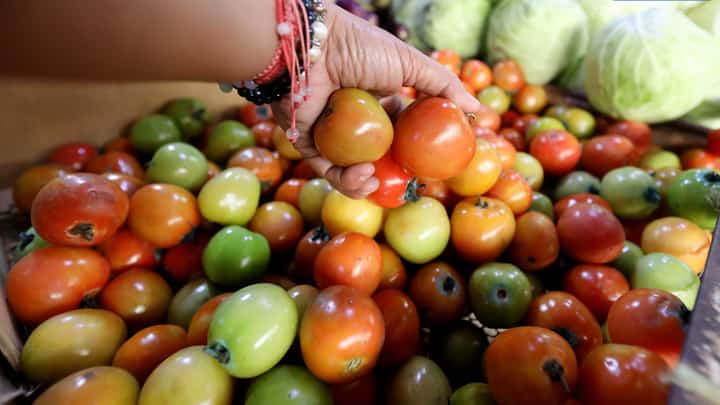 (January 7 2025) On Tuesday, January 7, 2025, a customer purchases tomatoes despite the high price due to a decrease in local supply. At Marikina Public Market, it can cost up to 280 pesos per kilogram. According to the Department of Agriculture (DA), tomato prices are expected to fall by the end of January or early February, when the harvest begins. Photo/Analy Labor