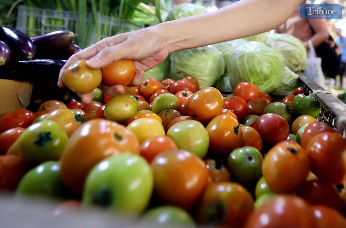 A customer buys tomatoes at the Marikina Public Market on Tuesday, 7 January 2025, despite prices reaching up to ₱280 per kilogram due to a decline in local supply.