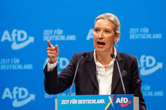 German far-right eyes border closure, Russian gas
