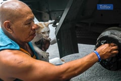Cat welding by manong's side