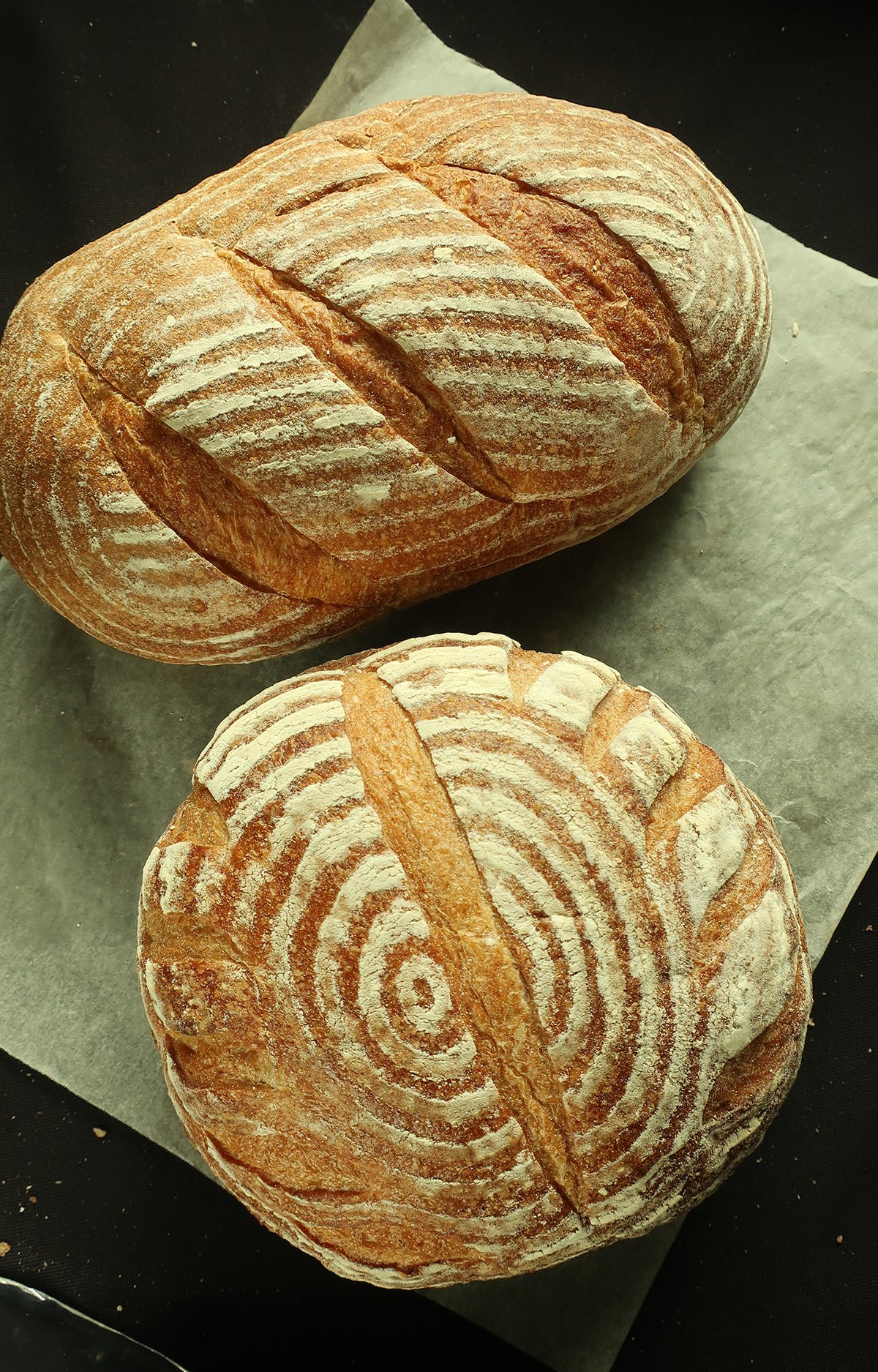 Sourdough Bread