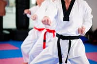 Jins target Korean training camp