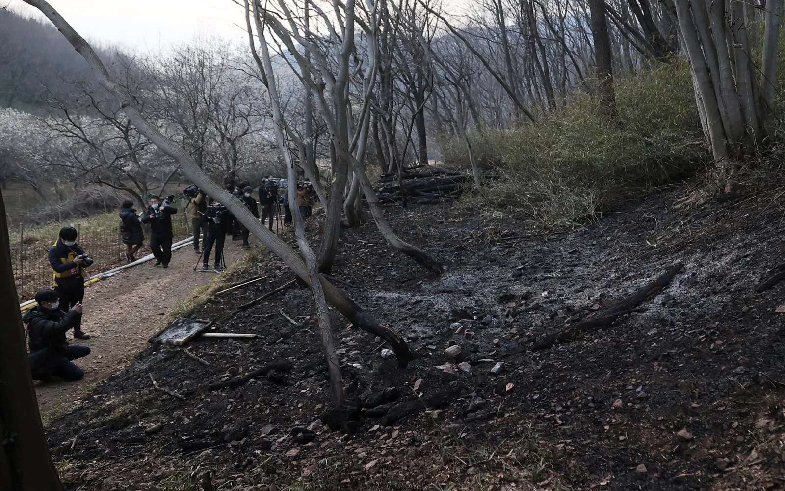 Japan forest on fire after military explosives drill