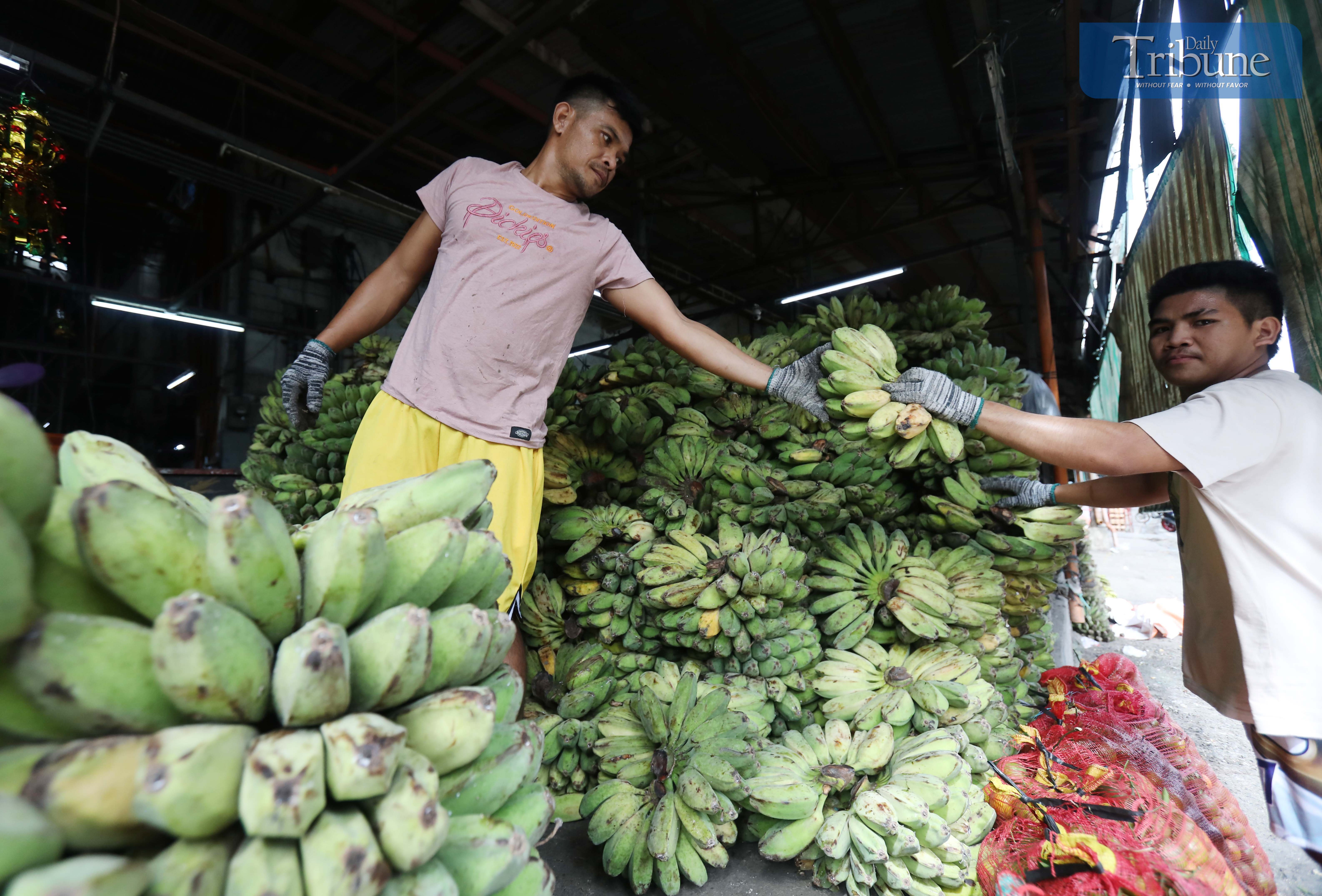 Saba banana benefits 