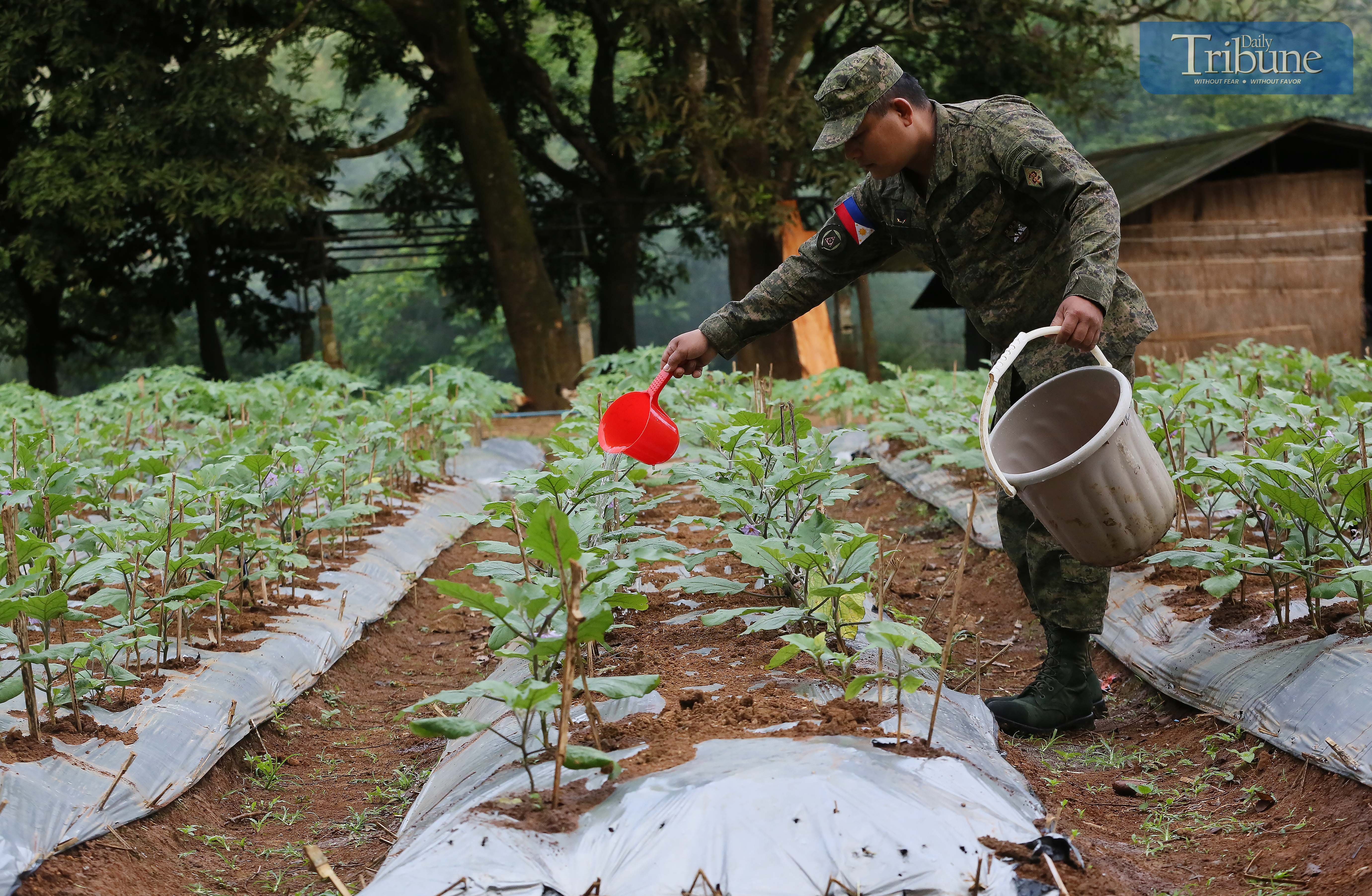 A soldier and his vegetables 