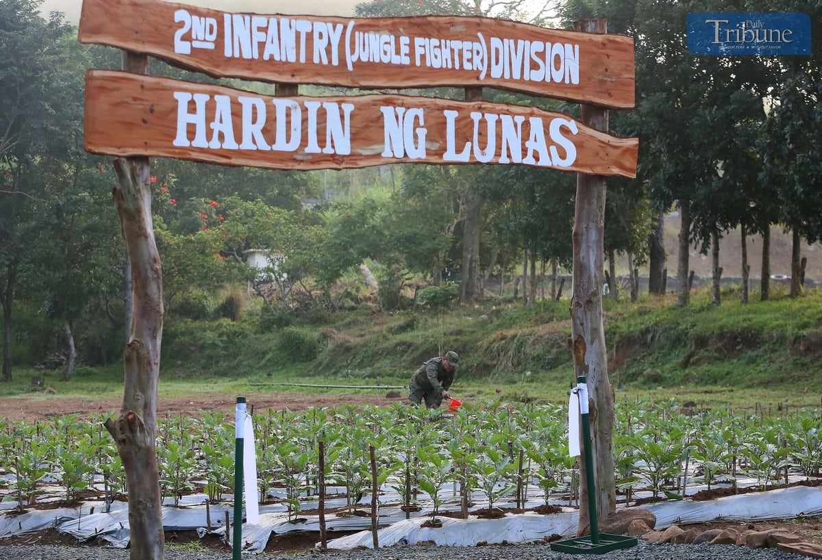 A member of the Philippine Army 2nd Infantry Division waters vegetables at the "Hardin ng Lunas" opening ceremony at Camp Mateo Capinpin, Brgy. Sampaloc, Tanay, Rizal on 20 January 2025.