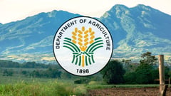 DA NORMIN convenes farmers for bio-tech demo