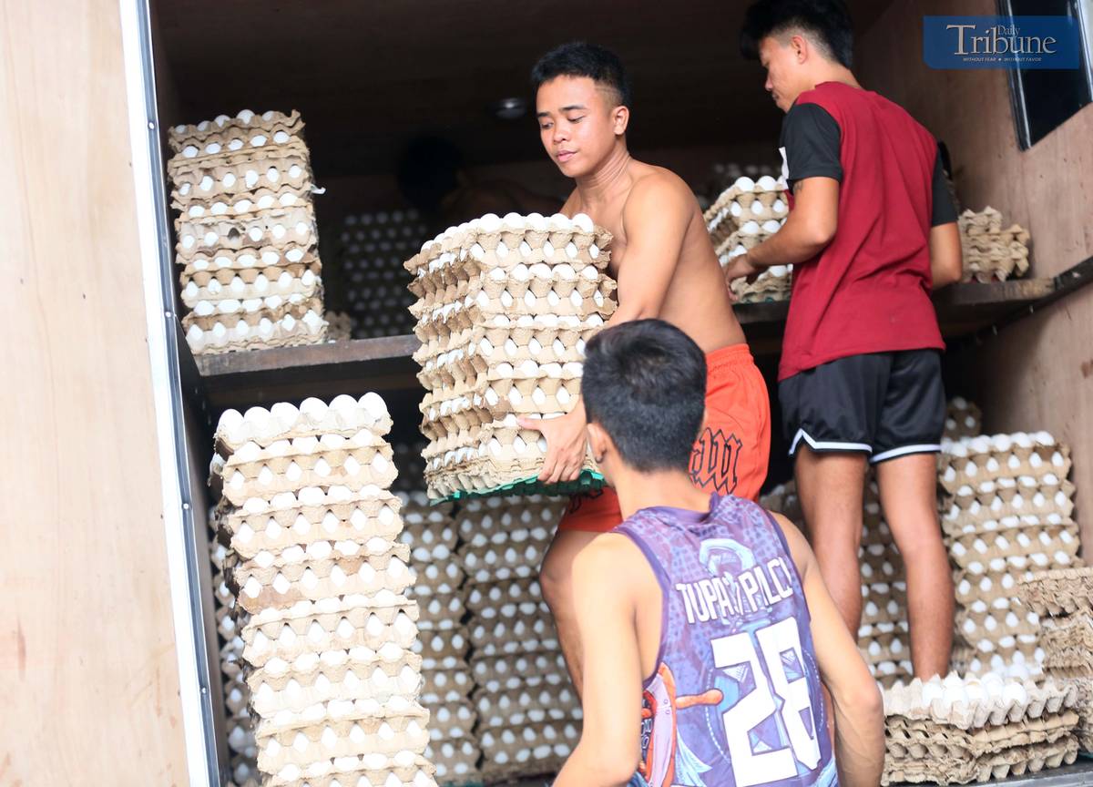 Workers transfer trays of eggs to another truck after an accident.