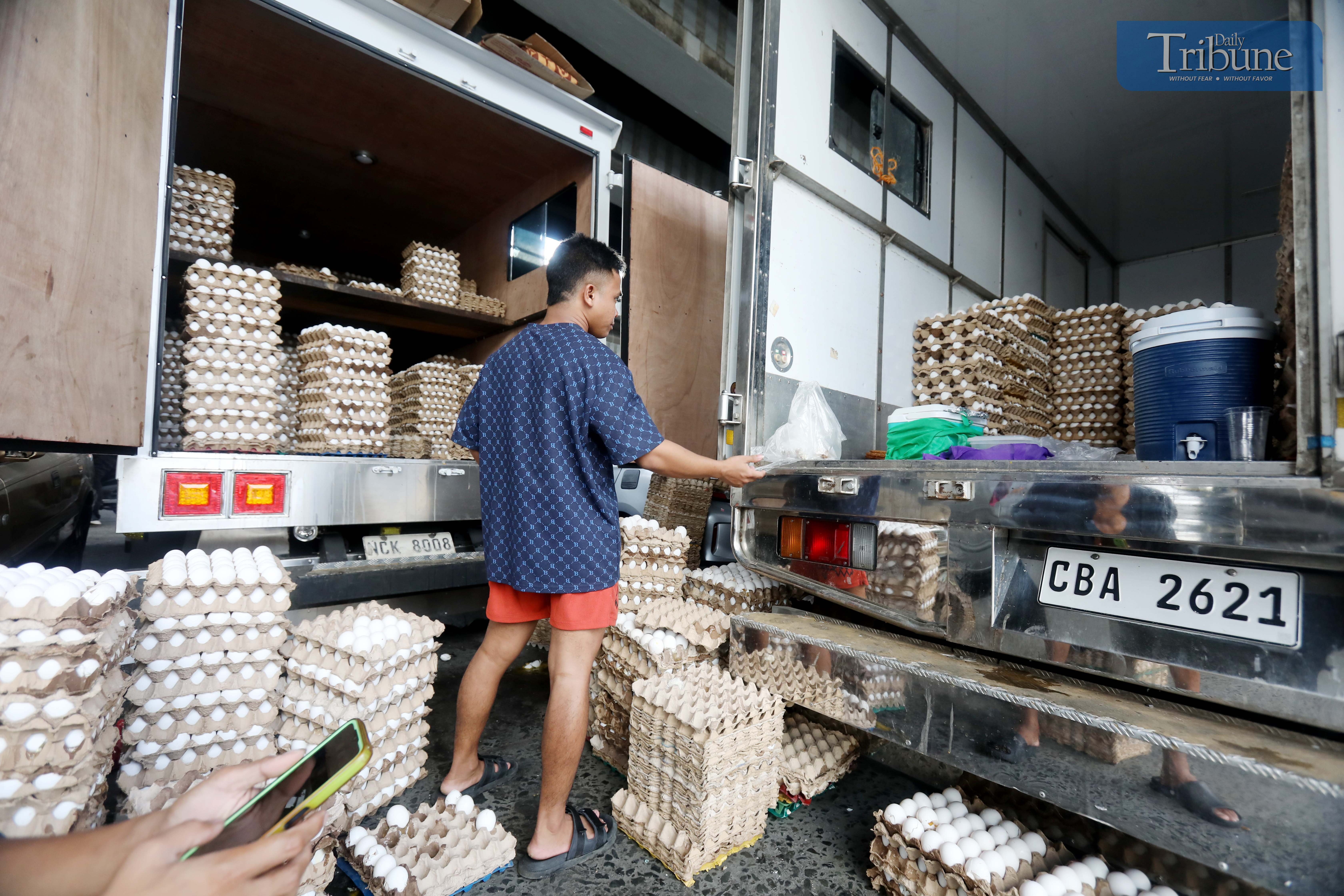 Group assures sufficient egg supply in April, May following bird flu threat