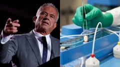 Robert F. Kennedy Jr. and the debate over aluminum in vaccines