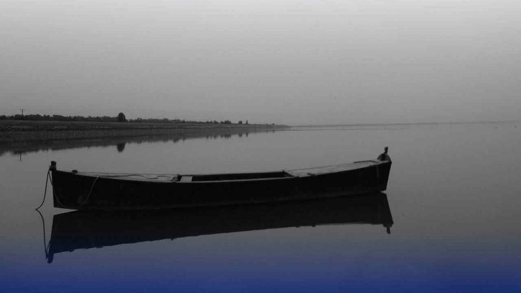 6 trafficking victims rescued