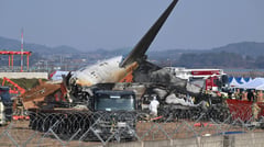 Bird feathers, bloodstains found
in Jeju jet engines