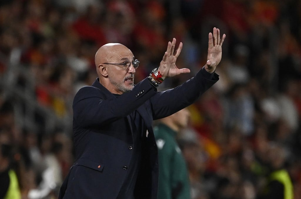 Spain's Euro 2024 winning coach De la Fuente extends contract