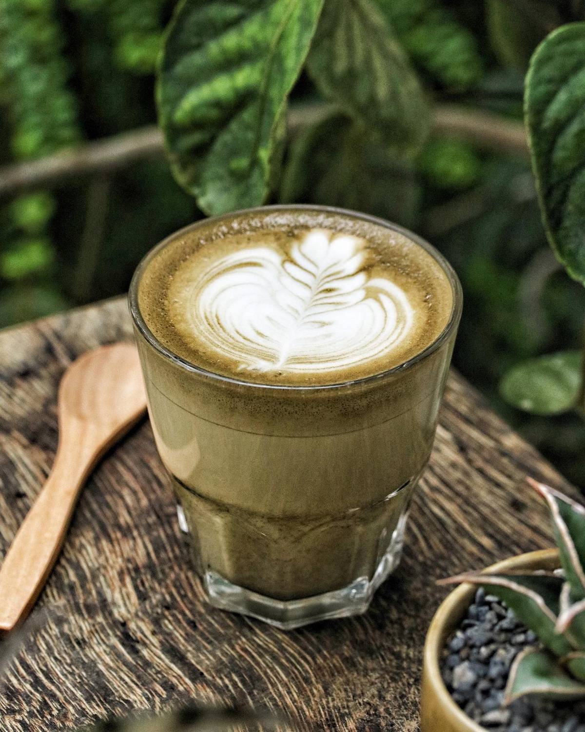 Hojicha Latte