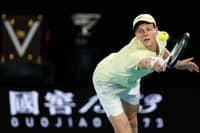 Sinner declines ATP 500 stint