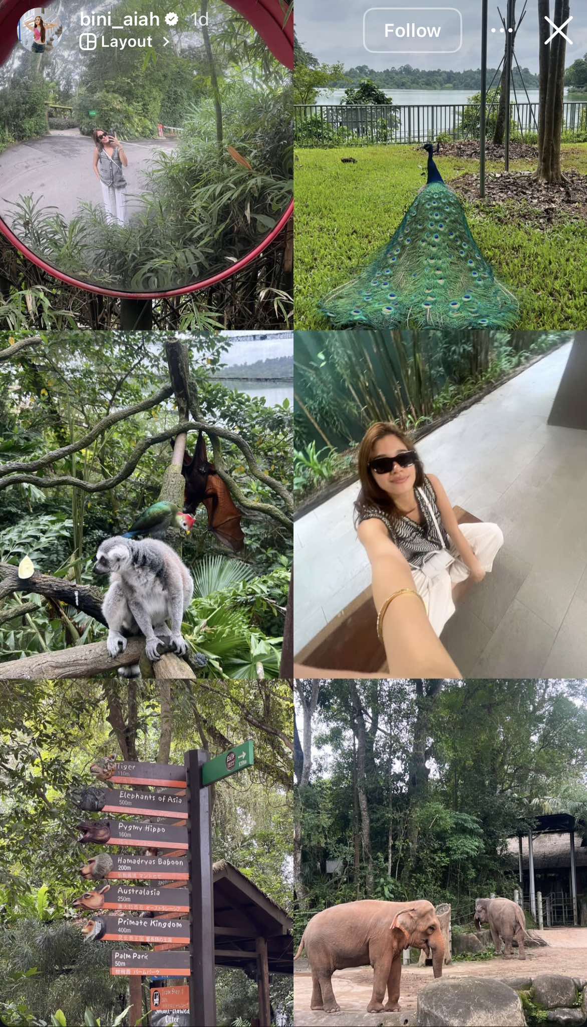 Explores Singapore on her birthday
