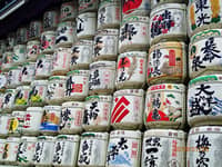 Japan restricts visa slots for Filipino tourists — plan ahead