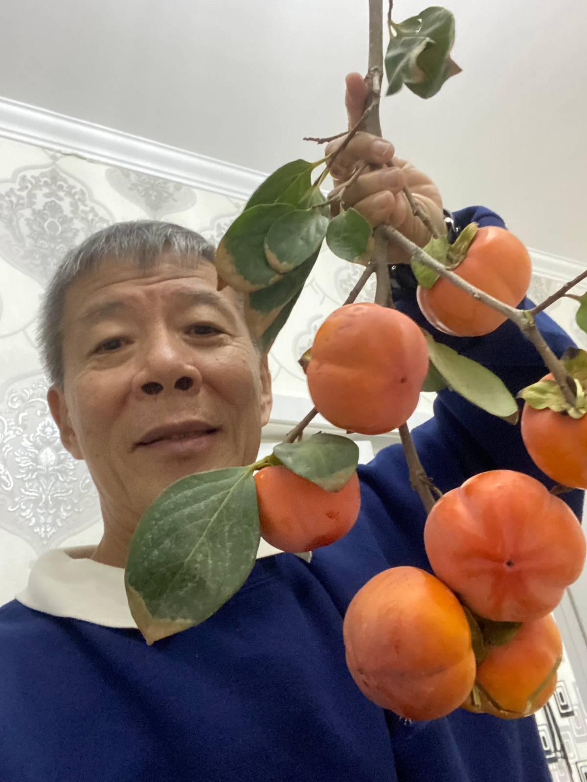 Fresh persimmons were so abundant.