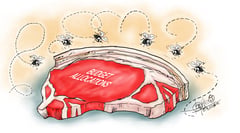 Pork barrel politics