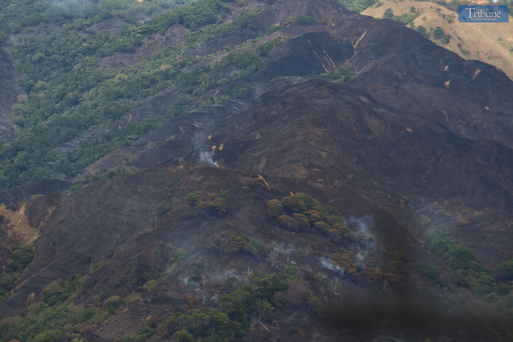 Ilocos Norte grassfire destroys 287 hectares of land, says OCD