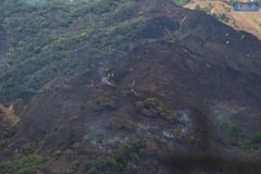 Ilocos Norte grassfire destroys 287 hectares of land, says OCD