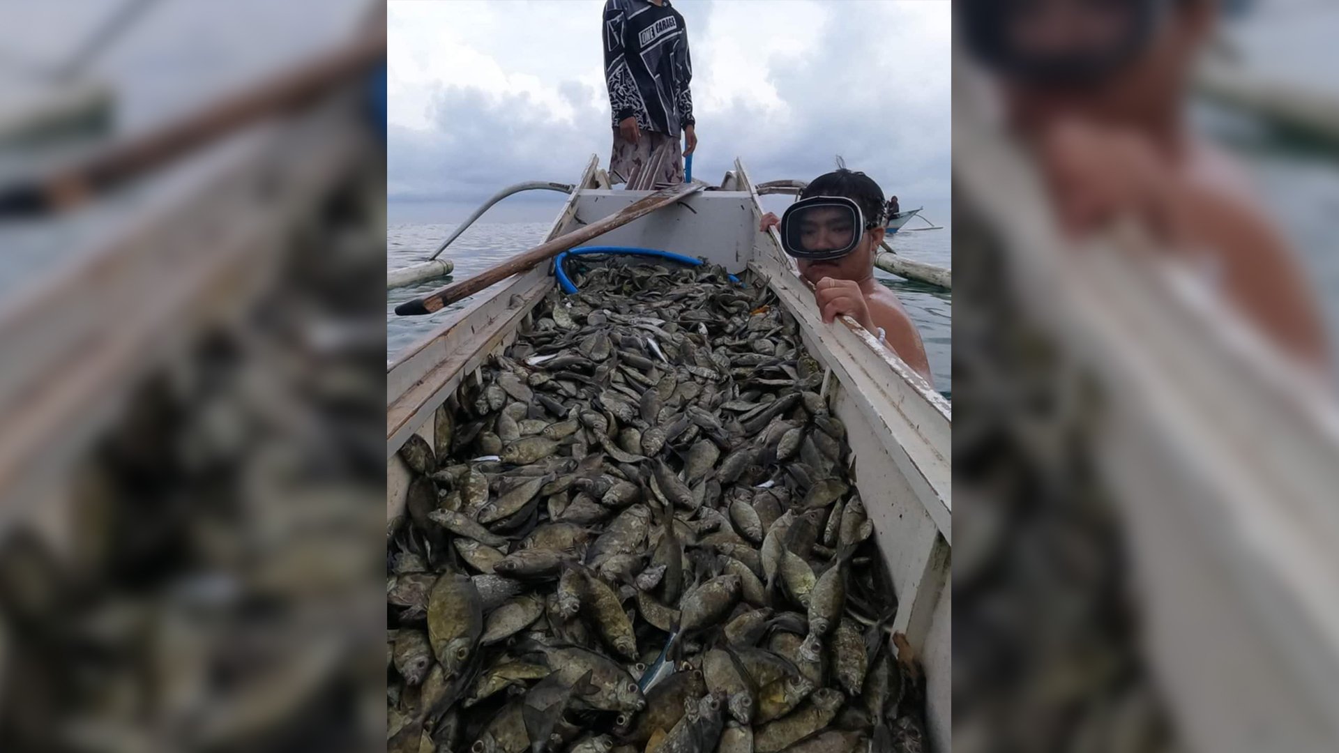 VOLUNTEER danggit cage watchers help ensure sustainable fish catch every year.