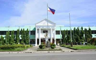 Northern Samar eyes bigger slice of global ube market