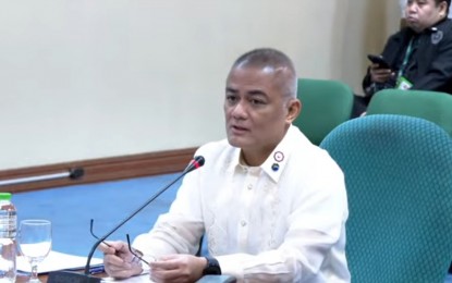 CA defers PhilSA chief confirmation