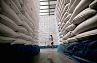 A WORKER from the National Food Authority unload sacks of rice at their warehouse in Valenzuela City, sourced from Region III as part of the Department of Agriculture’s Food Security Emergency on Rice. The rice will be distributed to Quezon City, San Juan City and the CAMANAVA area.