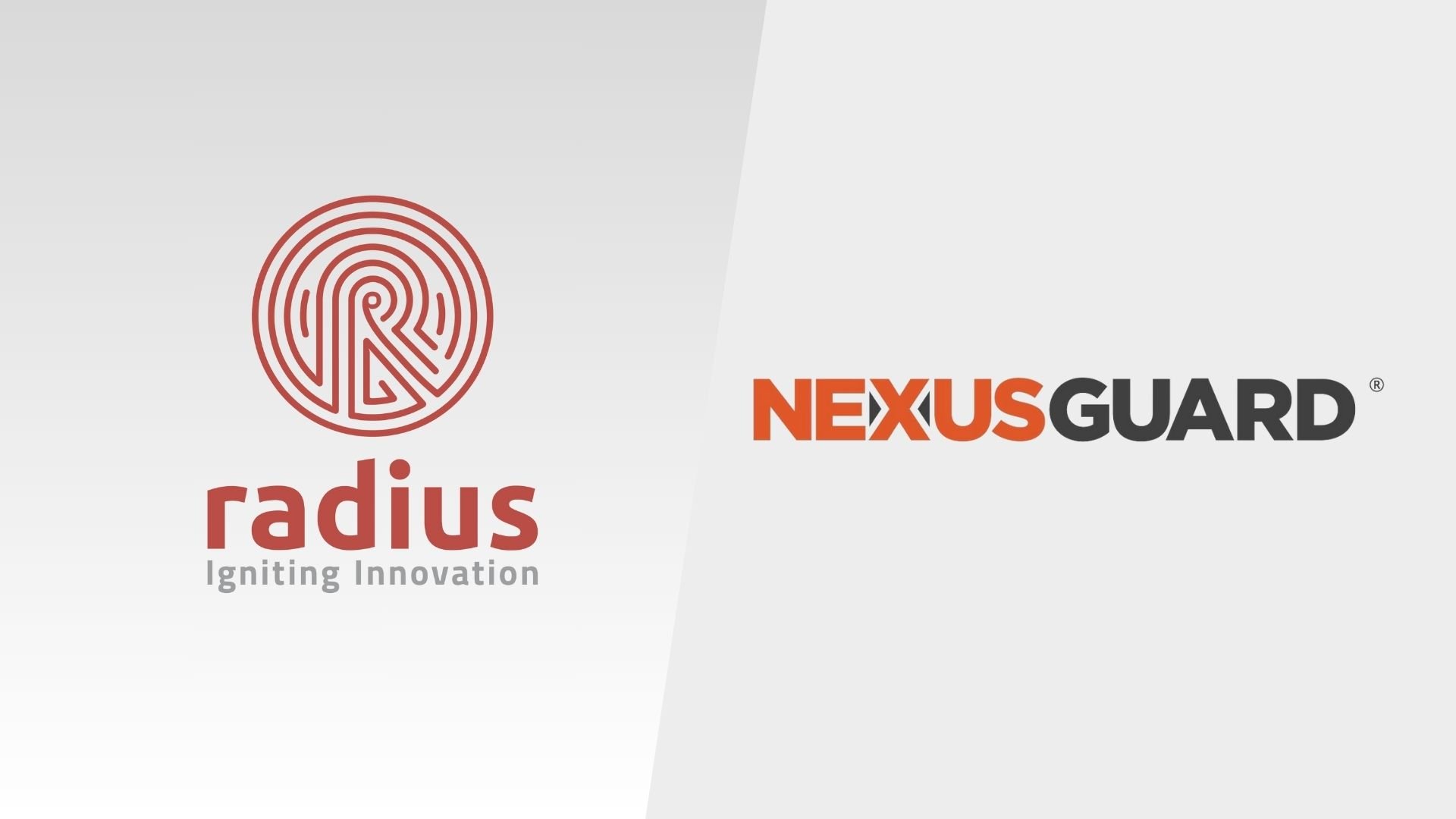 Radius, Nexusguard team up on cyber defense