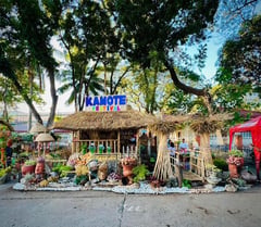 Moncada Kamote Festival: The sweet taste of resilience and tradition