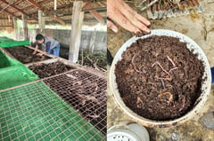 Private supplier in P3.25-M fertilizer scam pleads to lesser charge