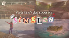 Solo and thriving: Top spots for singles this love month